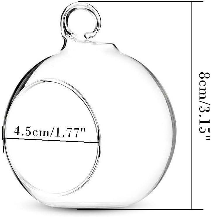 Sziqiqi 3.15" Glass Globes Glass Bulbs Hanging Tea Light Holder Terrarium Container Wedding Centerpiece Backyard Decoration Christmas Ornaments 10pcs+2 Extra