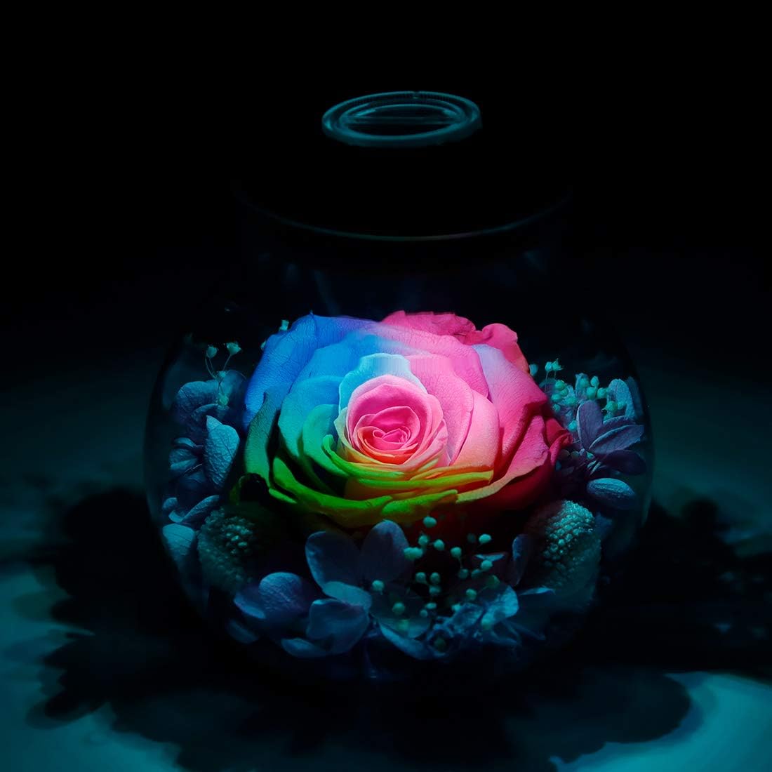 Preserved Real Roses with Colorful Mood Light Wishing Bottle,Eternal Rose，Never Withered Flowers,for Bedroom Party Table Decor, Christmas Anniversary,Valentine's,Mother's Day, (Multi)
