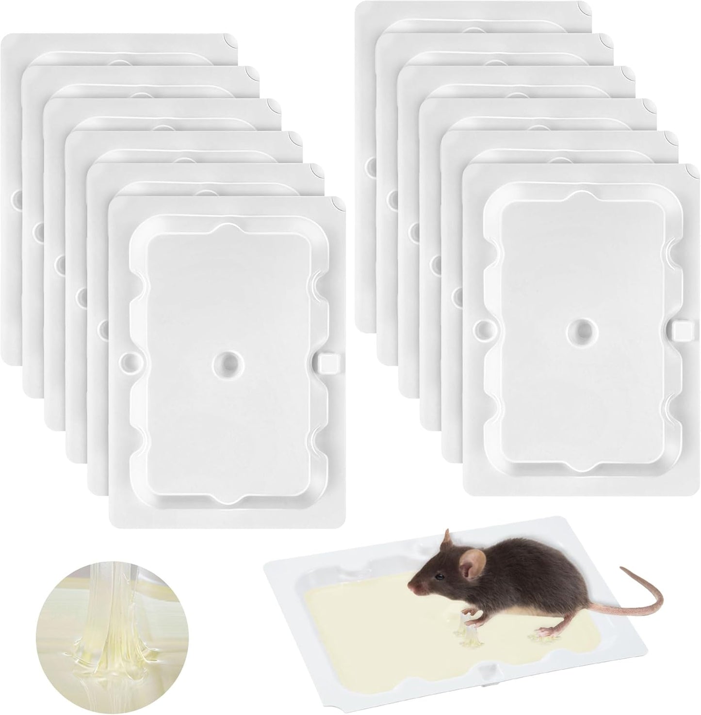 Qualirey 12 Pack Mouse and Insect Glue Traps, Strong Sticky Mice Traps Indoor for Home, Pre Scented Rodent Pads with Non Toxic Glue for House Garage, Ready to Use, Safe to Children and Pets (White)