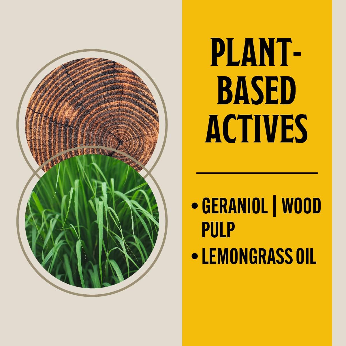 Grandpa Gus's Natural Ant Roach Spider Killer Spray, Fast-Acting Plant-Based Insect Control, Safe for Kids Pets, Indoor Outdoor Use, Non-Greasy, Fresh Scent, 16 fl oz