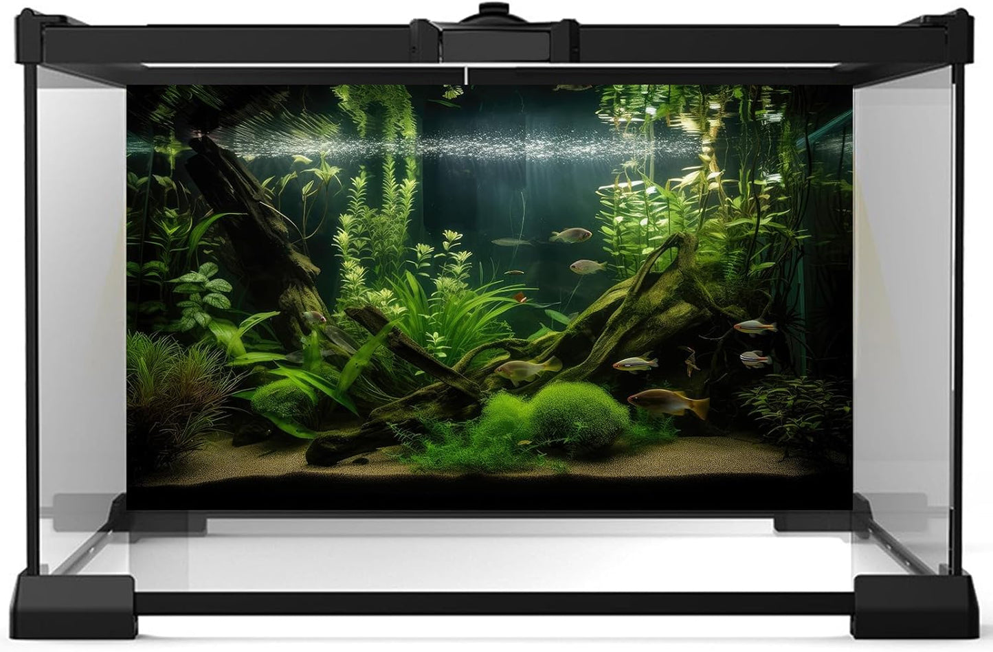 Aquarium Background Diverse Aquatic Plants and Seagrasses Terrarium Background Redwood Root Lush Green Underwater Plants Moss Fish Tank Background Under The Sea Aquarium Backdrop Vinyl 72x18in