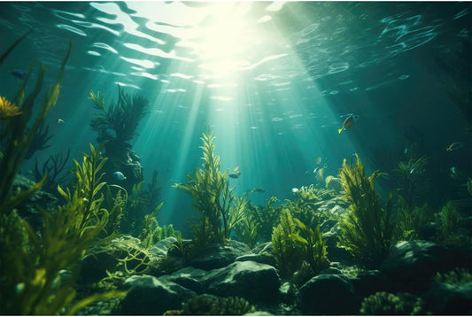Ocean Aquarium Background Aquatic Plants with Rocks Terrarium Backdrop Sunlight Rays Deep Sea Fish Tank Background Aquarium Wallpaper Poster Decor Vinyl 24x12in