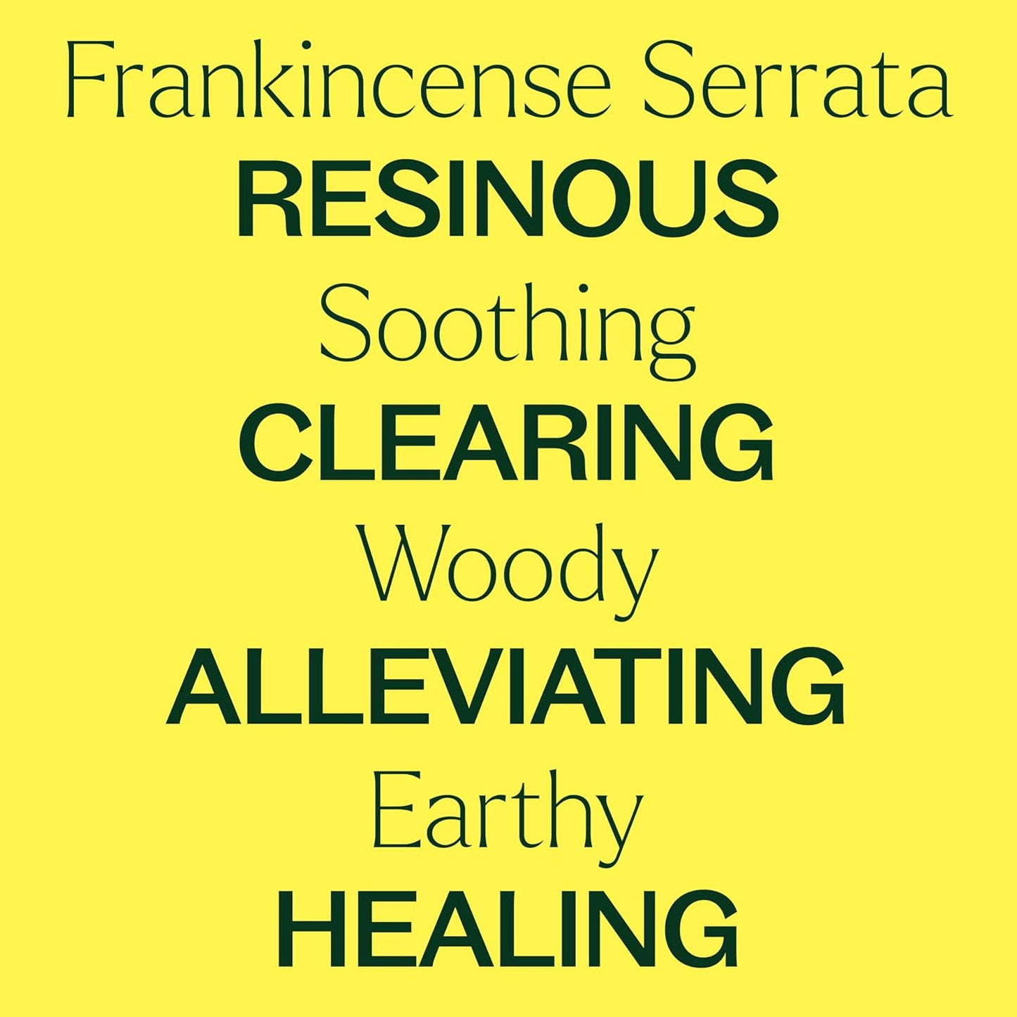 Plant Therapy Organic Frankincense Serrata Essential Oil 100% Pure, USDA Certified Organic, Undiluted, Natural Aromatherapy, Therapeutic Grade 10 mL (1/3 oz)
