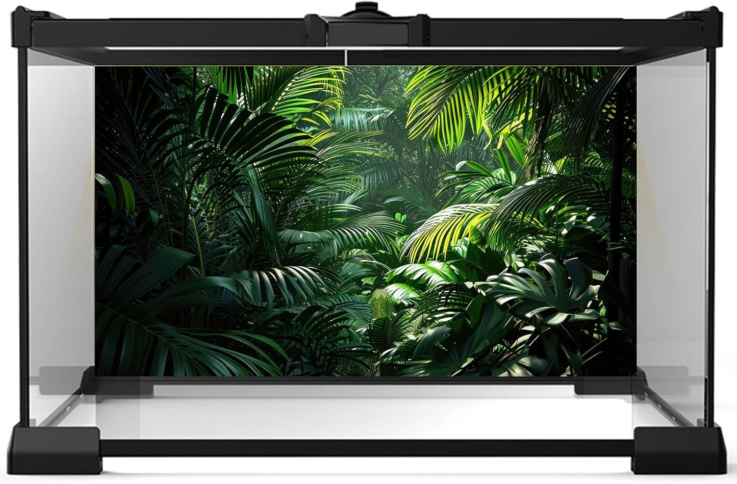 Aquarium Background Enchanting Beauty of Jungle Terrarium Backdrop Nature Jungle Green Leaf Palms Fish Tank Background Reptile Habitat Backdrop Wallpaper Poster Decor Vinyl 36x24in