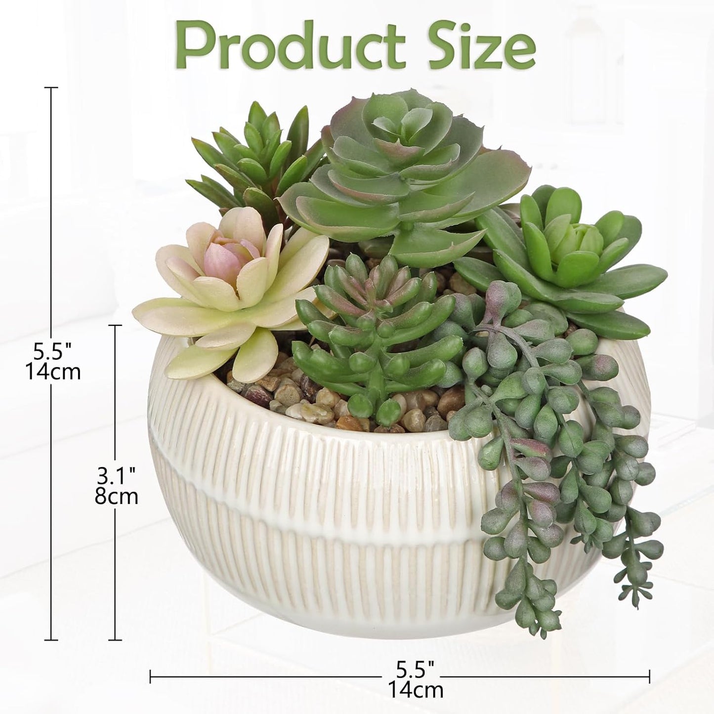 DILATATA Artificial Succulent Plants in Pot 5.5 Inch Fake Succulents Arrangement Potted Plant in White Ceramic Planter Bowl for Home Office Desk Shelf Living Room Bedroom Bathroom Decor