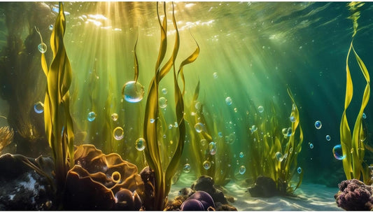 Aquarium Background Underwater Beautiful Coral Reef with Seaweed Bubbles Terrarium Backdrop Aquatic Plants Sunlight Rays Fish Tank Background Tank Aquarium Wallpaper Poster Decor Vinyl 36x24in