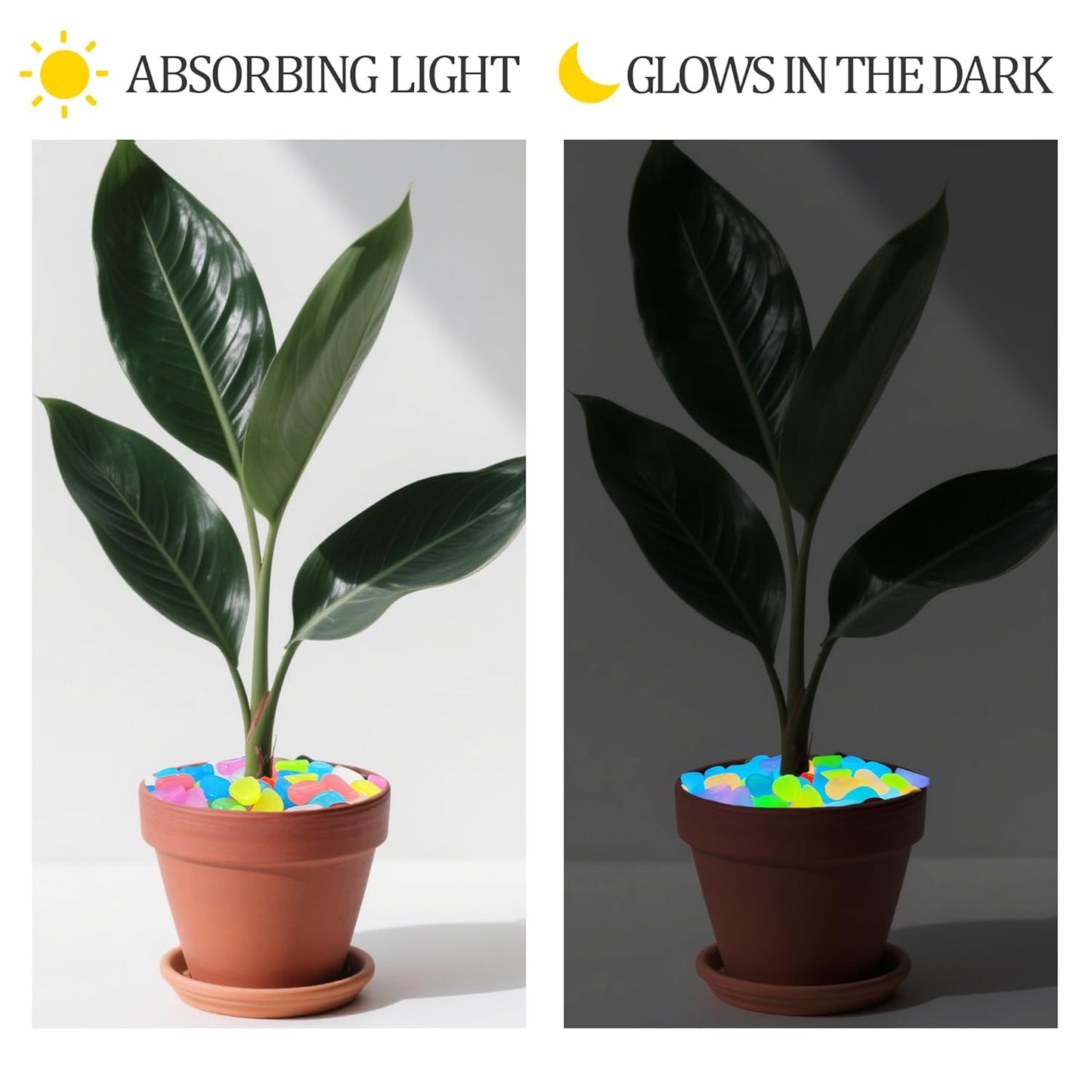 0.7LB 25-27mm Color Glowing Rocks for Driveway Glow in The Dark Rocks for Fish Tank Luminous Pebble Stones for Lawn Landscape Decor Garden Patio Aquarium Walkway