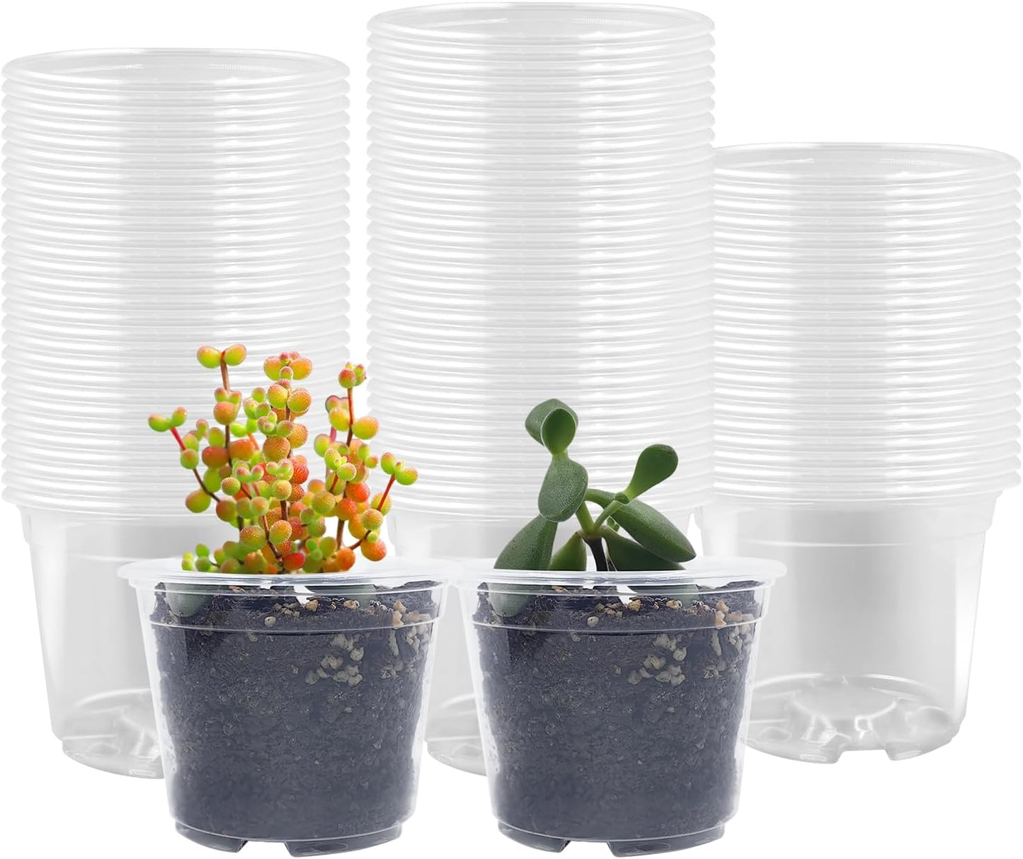 100 Pack 2.8 Inches Clear Plant Pots with Drainage Holes, Transparent Seeding Nursey pots, Round Plastic pots for Seeds Starter, Seeds Germination