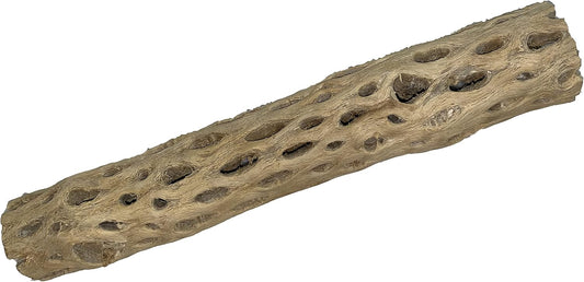 Awesome Aquatic 12 inch 2-3” Thick XL Teddy Bear/Chain Fruit/Buckhorn/Staghorn Cholla Wood Hollow Tube Wood Cactus Skeleton Tubes 12” x 2-3” Thick/Diameter (12 in x 2-3 in Diameter)