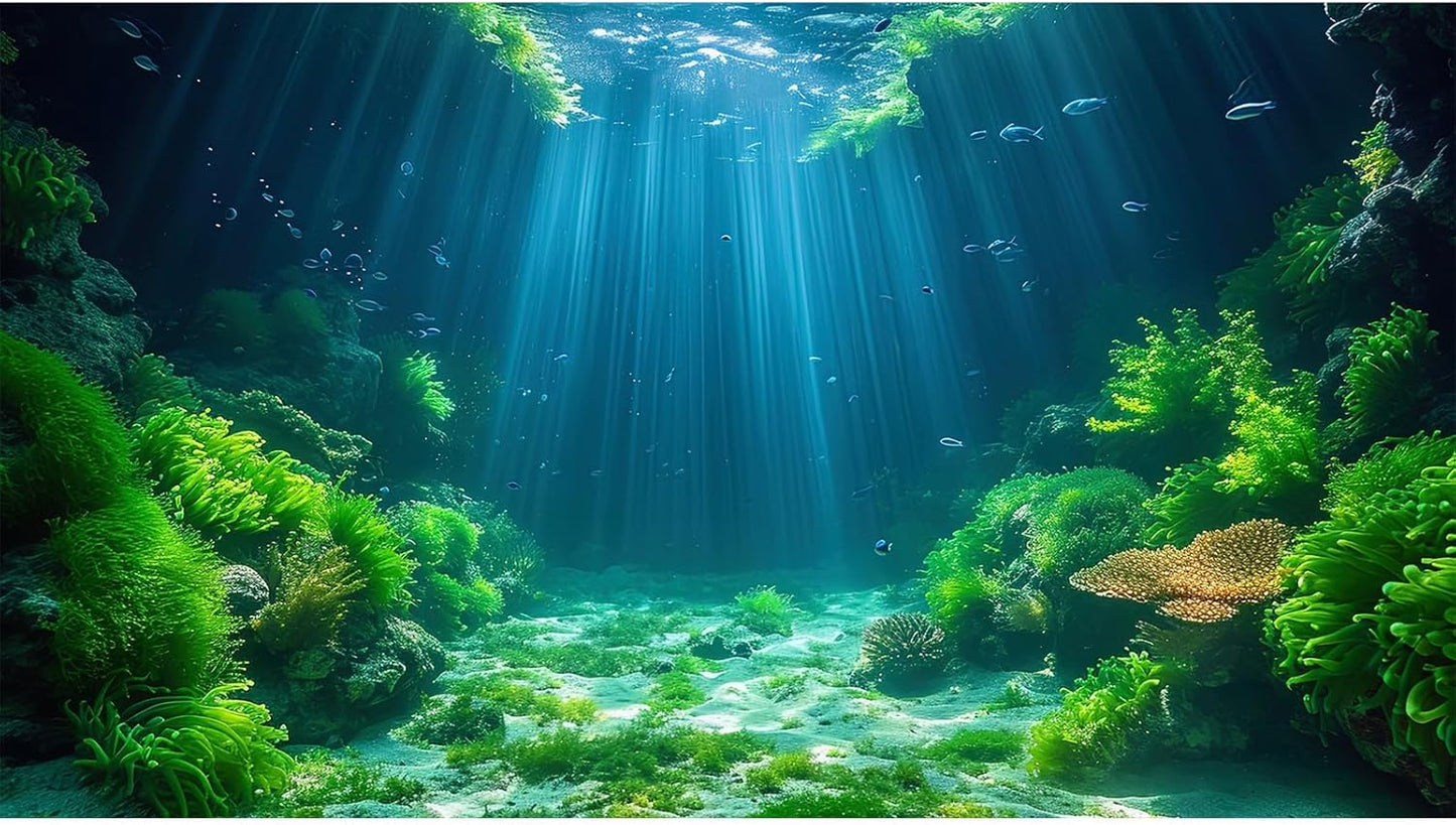 Aquarium Background Aquatic Plants Soft Algae Terrarium Backdrop Underwater World Fish Rock with Moss Sunlight Rays Fish Tank Background Aquarium Wallpaper Poster Decor Vinyl 48x24in