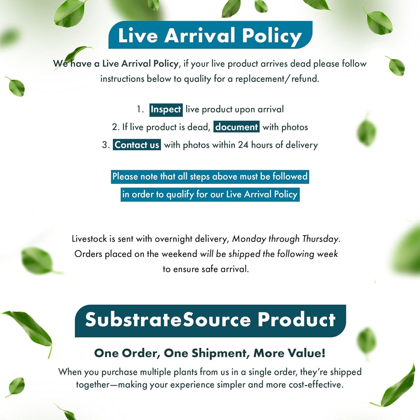 Live Plant - Tall Grass, Corkscrew Vallisneria - Easy Care, Moderate to High Light, Bright Green Accent, Freshwater Aquatic Plant for Aquascaping - Lead Bunch