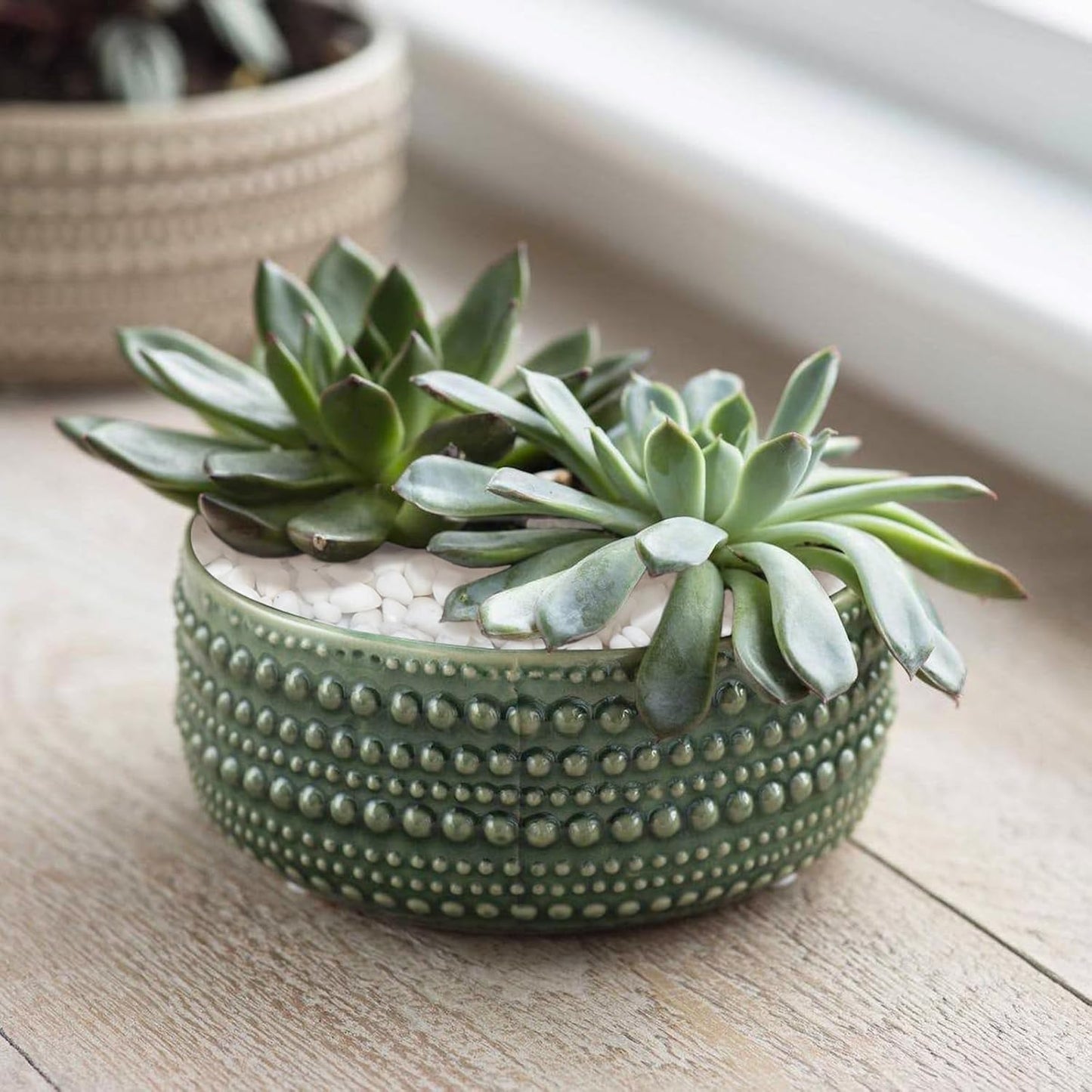 10 LB White Pebbles for Plants, 3/8 inch White Rocks for Vases Landscaping, Small Decorative Stones for Indoor Outdoor, Polished