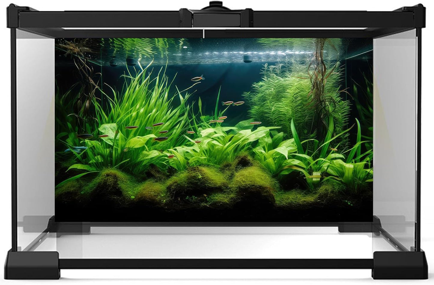 Aquarium Background Diverse Aquatic Plants Seagrasses Terrarium Background Redwood Root Lush Green Underwater Plants Tropical Style Fish Tank Background Under The Sea Aquarium Backdrop Vinyl 72x16in