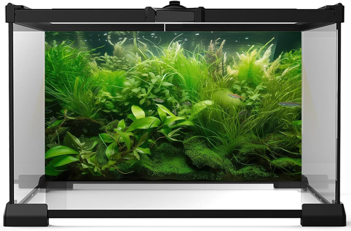 Aquarium Background Diverse Collection of Aquatic Plants Seagrasses Terrarium Background Redwood Root Moss Tropical Style Underwater Lush Green Plants Fish Tank Background Wallpaper Poster 48x20in