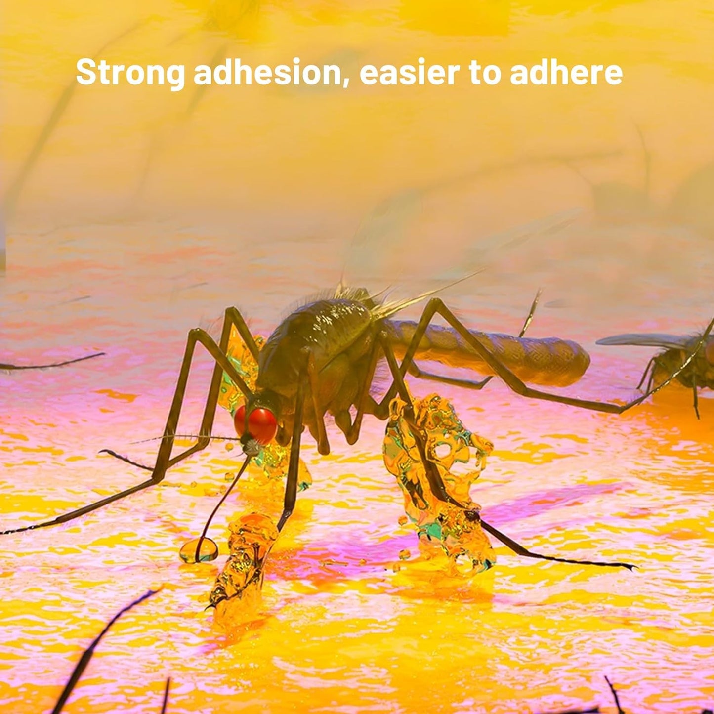 10 Refills UV Fly Light Trap Indoor for Home Gnat Traps for House, Wall Sconce Fly Light Bug Catcher for Kitchen House & Restaurant Fruit Flies Garage & Warehouse