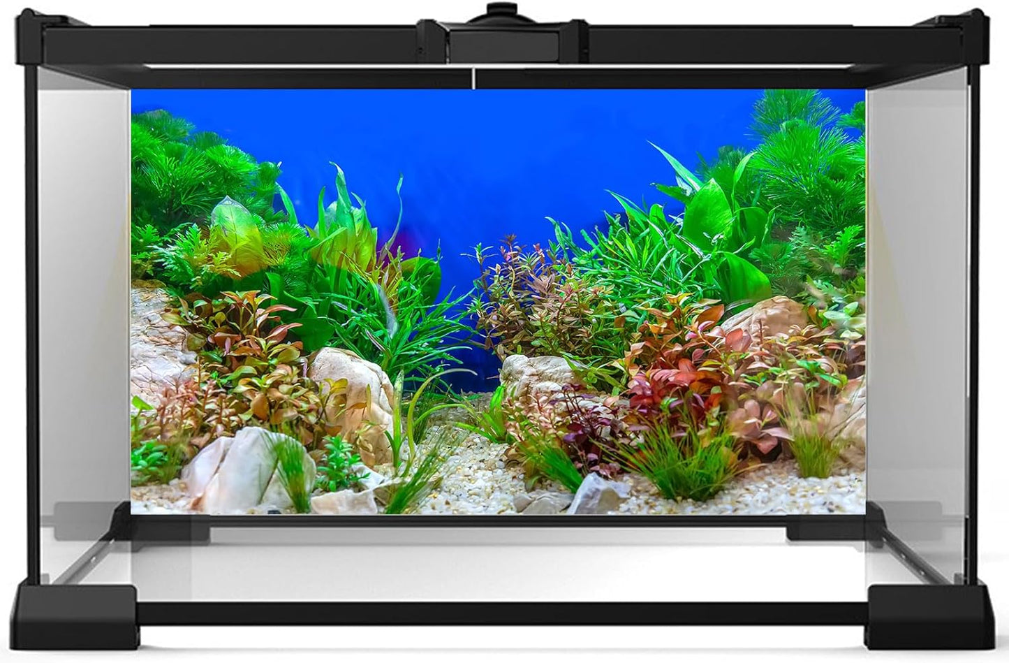 Aquarium Background Green Aquatic Plant Stone River Bed and Lake Fish Tank Background Decor Underwater Grass Leaves with Pebble Aquarium Backdrop Perfect Fish Tank Decors Vinyl 36x18in
