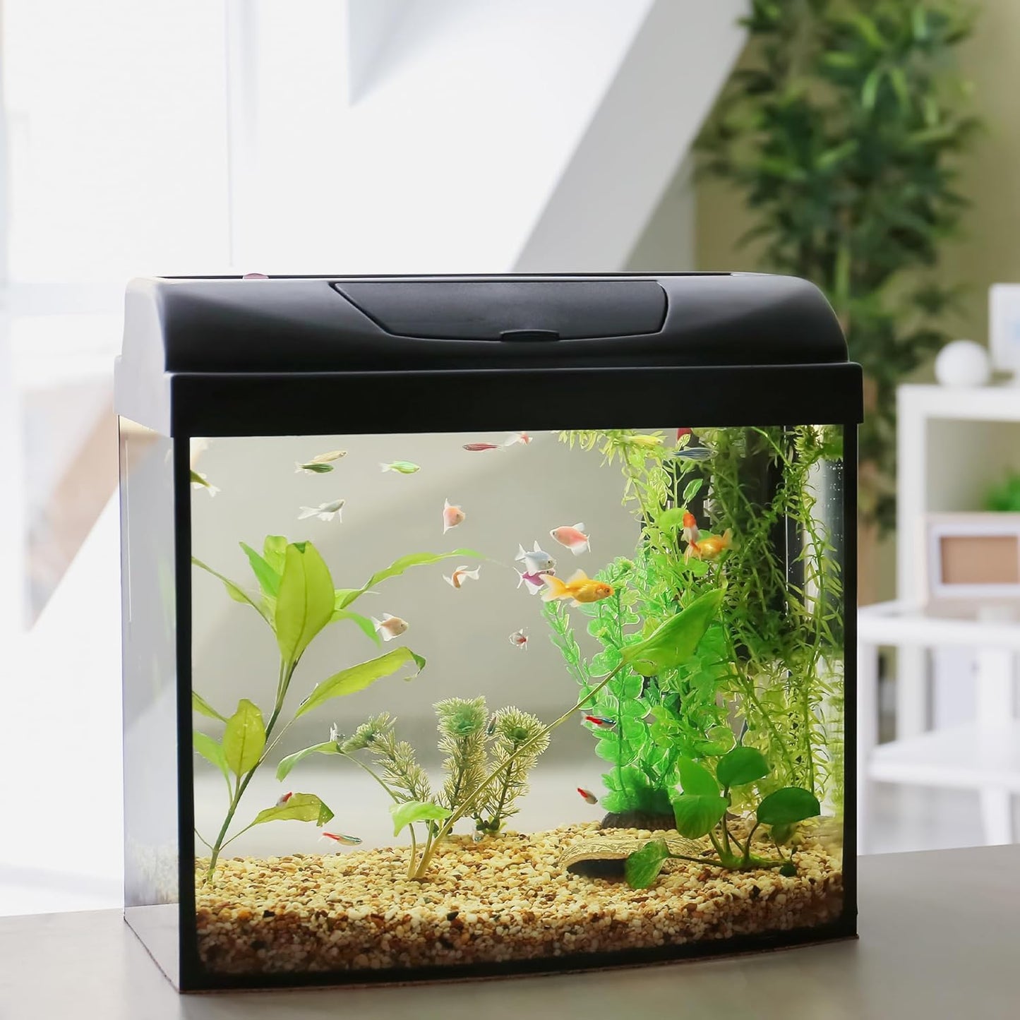 Aquarium Gravel 10 lbs, 3-6mm Fish Tank Gravel, Succulent Cactus Pea Gravel for Indoor Plants, River Rocks for Gardening, Flower Pots, Vase Fillers, Garden Landscaping