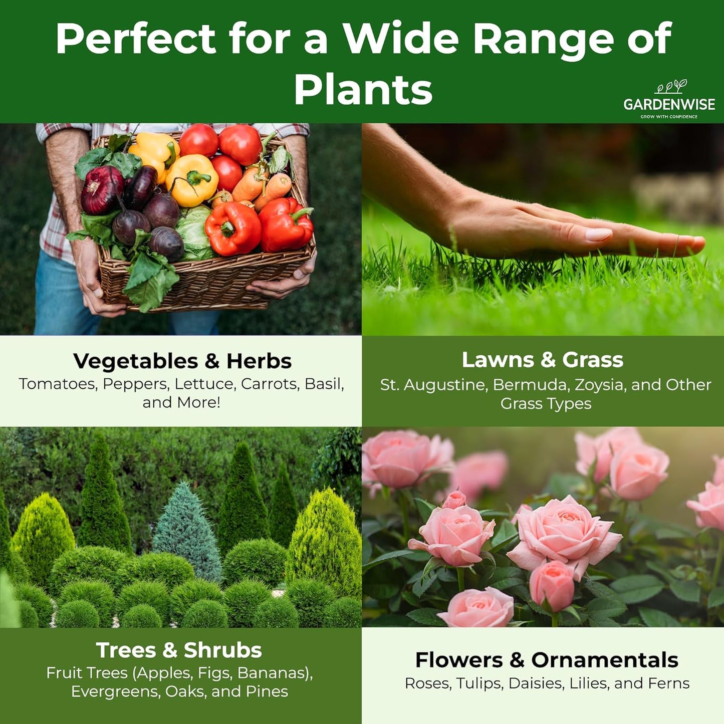 10-10-10 Plant Fertilizer Slow Release - 10 10 10 All Purpose Granular Garden Fertilizer for Vegetables, Tomato, Arborvitae, Shrubs, Rose, Flowers, Fruit, Fig Trees (1/2 Quart)