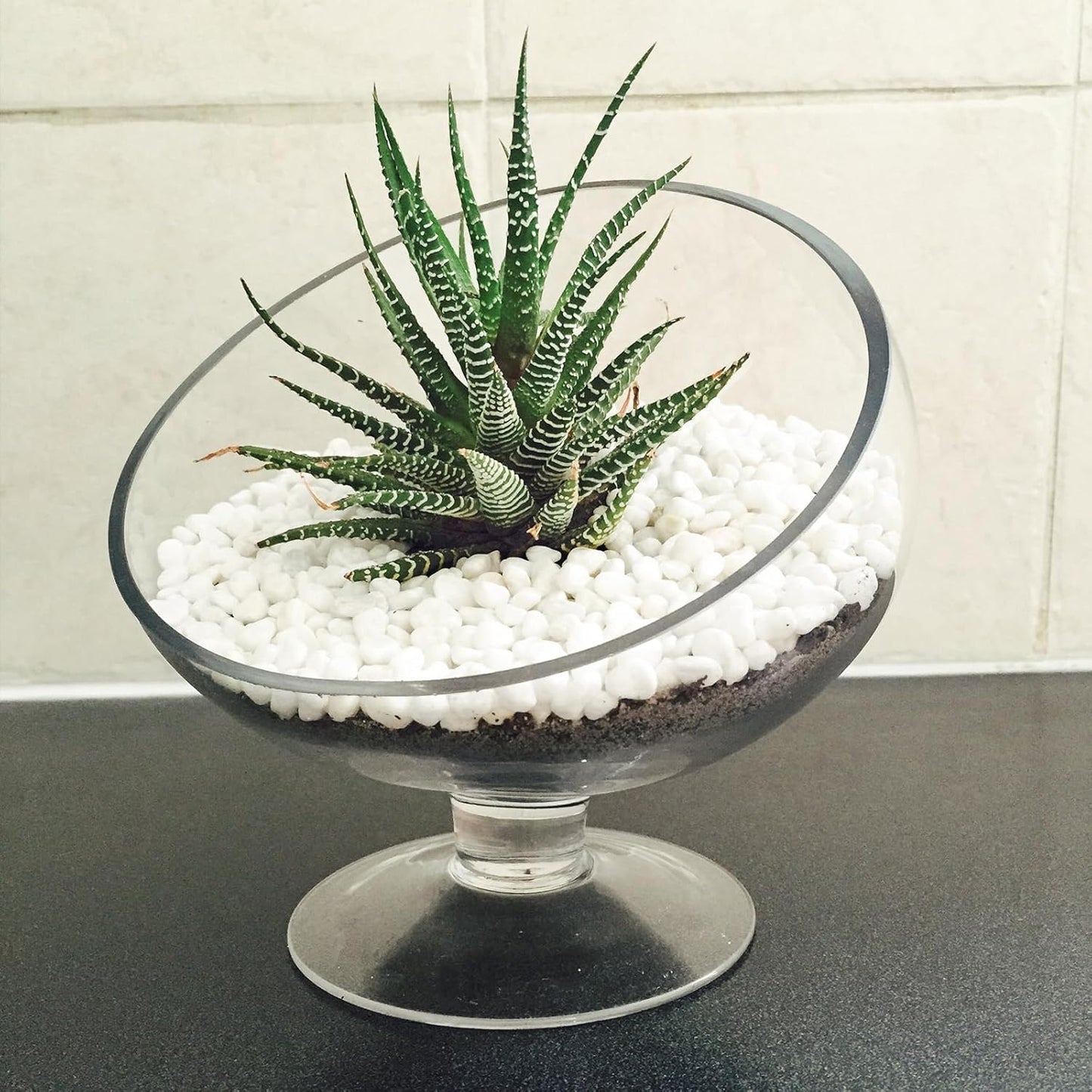 10 LB White Pebbles for Plants, 3/8 inch White Rocks for Vases Landscaping, Small Decorative Stones for Indoor Outdoor, Polished