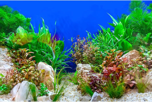 Aquarium Background Green Aquatic Plant Stone River Bed and Lake Fish Tank Background Decor Underwater Grass Leaves with Pebble Aquarium Backdrop Perfect Fish Tank Decors Vinyl 24x12in