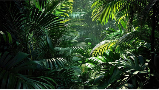 Aquarium Background Enchanting Beauty of Jungle Terrarium Backdrop Nature Jungle Green Leaf Palms Fish Tank Background Reptile Habitat Backdrop Wallpaper Poster Decor Vinyl 30x12in