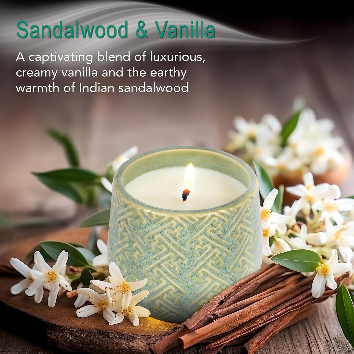 The Growing Candle, Sandalwood & Vanilla Scented, 10oz Ceramic Pot, Aromatherapy Candles for Home, 100% Soy, Ida