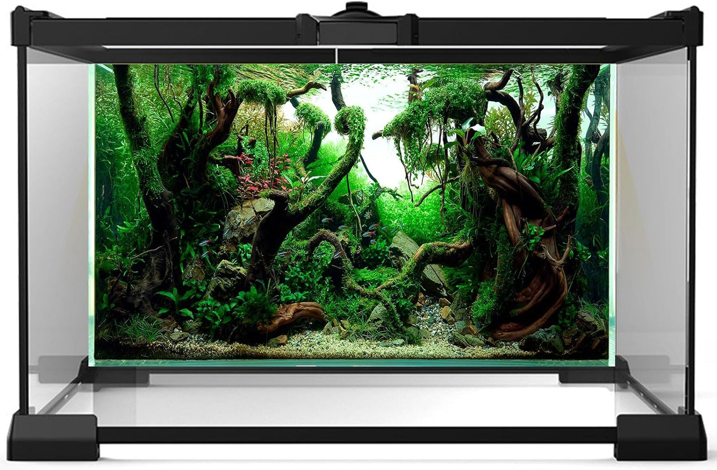 Fish Tank Background Underwater Pebble Grass Leaves Aquarium Background Vivid Fresh Green Aquatic Plant Stone River Bed Terrarium Background Deadwood Purple Leaves Tank Background 48x24in