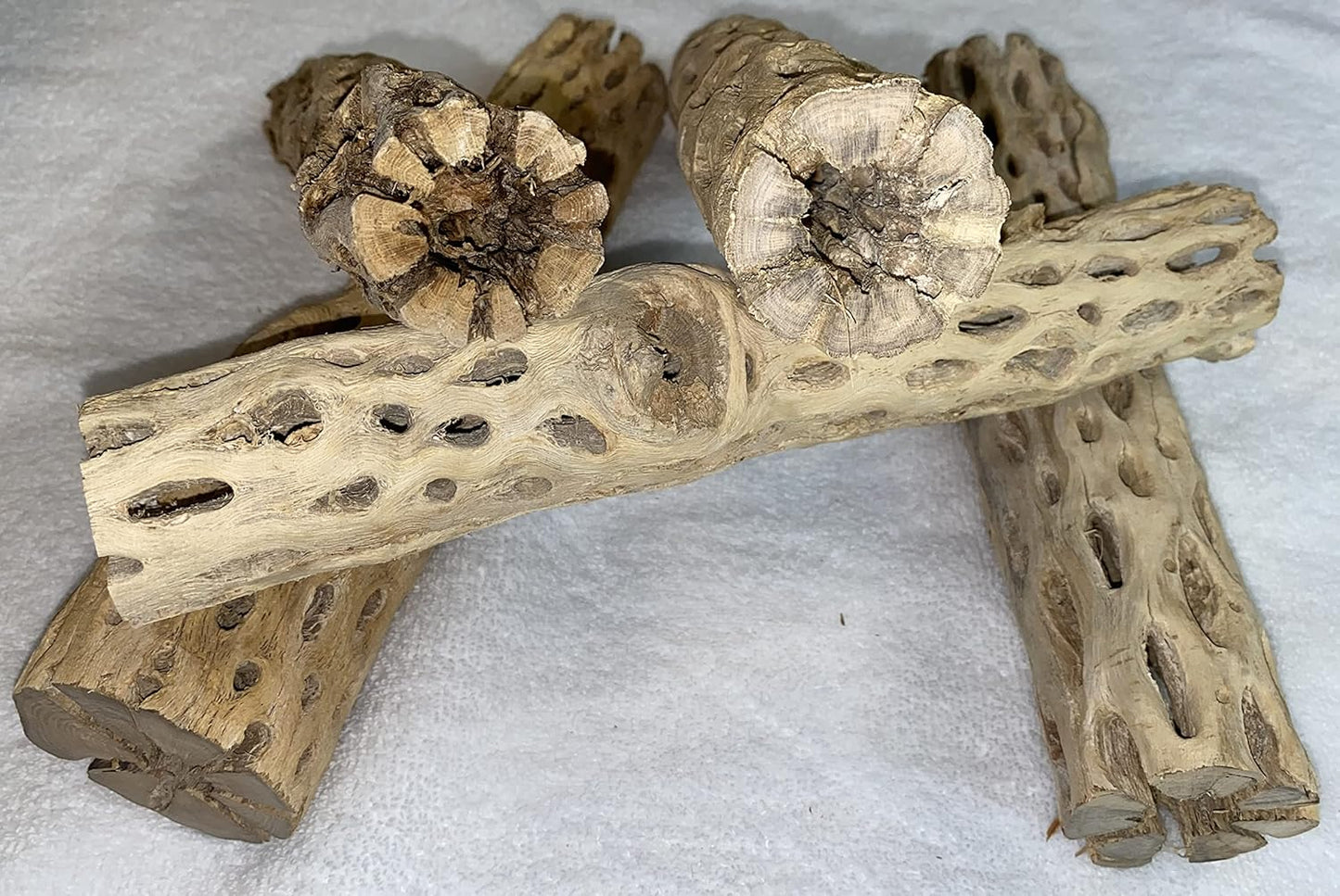Awesome Aquatic 12 inch 2-3” Thick XL Teddy Bear/Chain Fruit/Buckhorn/Staghorn Cholla Wood Hollow Tube Wood Cactus Skeleton Tubes 12” x 2-3” Thick/Diameter (12 in x 2-3 in Diameter)