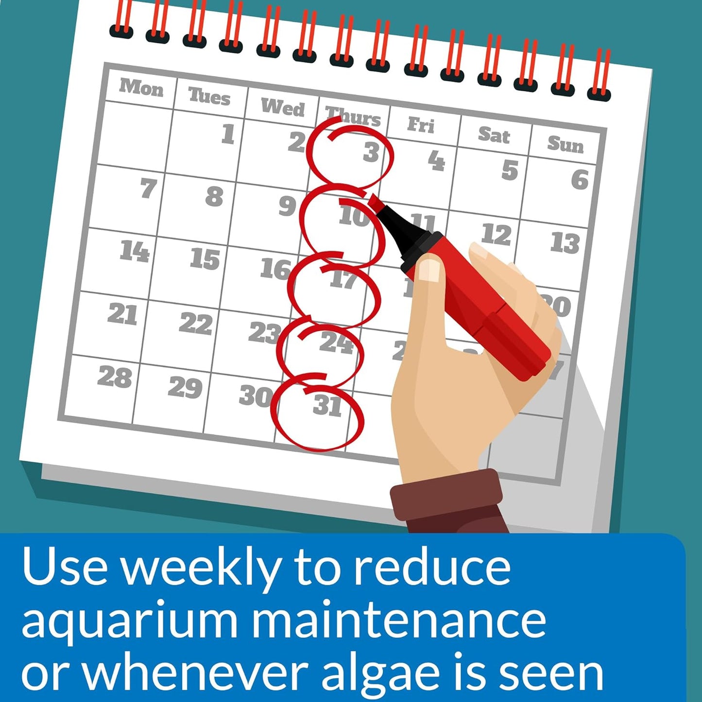 API ALGAEFIX 8-Ounce Bottle