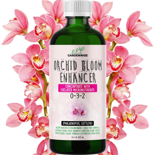 0-3-2 Giant Bloom: Orchid Bloom Enhancer - Orchid Bloom Booster - Orchid Food Fertilizer Concentrate - Chelated Nutrients for Healthy Flower & Reblooms (16 OZ)