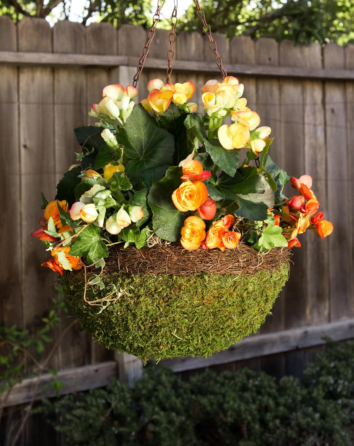 SuperMoss (29205 MossWeave Hanging Basket | Outdoor Hanging Planter with Moss | Decorative Plant Hanger for Porch, Balcony, Garden & Home Décor, Round with Wicker Rim, Large 16.5” D, Green