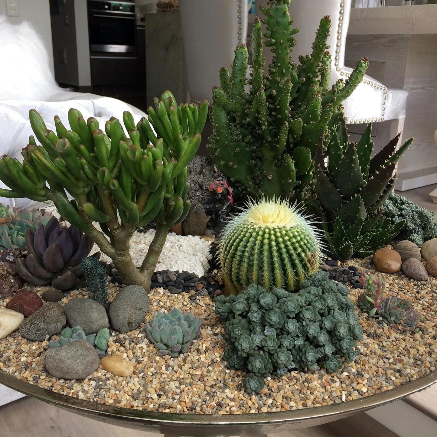 10 lbs Aquarium Gravel, 1-2mm Fish Tank Gravel, Premium Gravel and Substrate for Aquariums, Fish Tanks and Terrariums, XiL-1-2-10