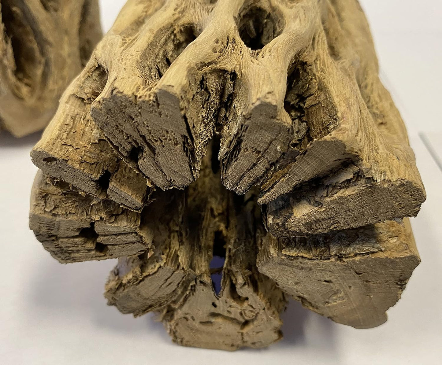 Awesome Aquatic 3 in Plus Thick XL Teddy Bear/Chain Fruit/Buckhorn/Staghorn Cholla Wood Hollow Tube Wood Cactus Skeleton Tubes 3” Plus Thick/Diameter (6 in x 3 in Plus Diameter)